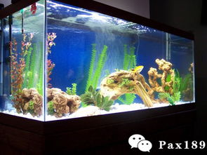 处理方法一：清洗，清洗，再清洗！