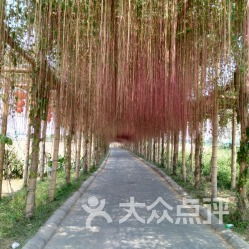 交通指南与门票信息