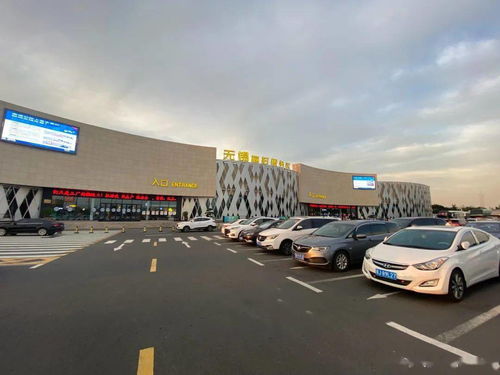 1.1 随意停车指南（随意版）