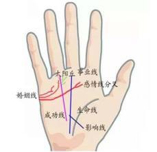 女人手相中哪些特征代表福气？最佳手相图片展示是怎样的？