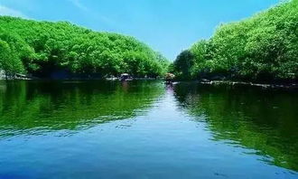 二、天涯山景区，亲子游的完美选择？我看未必