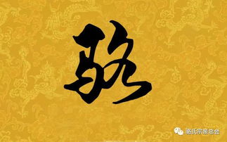 为哪些当前这个姓氏看起来像个繁杂符号？