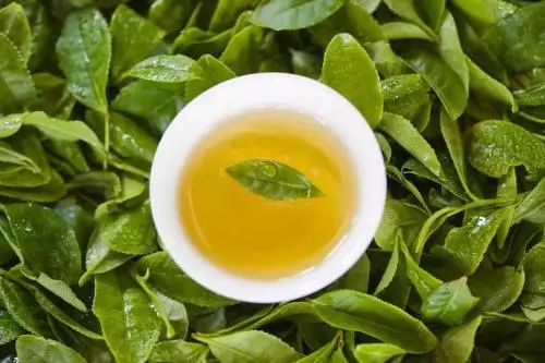 玉露茶的神秘面纱：海苔与抹茶的清香之旅