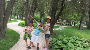 一些不太正经的建议