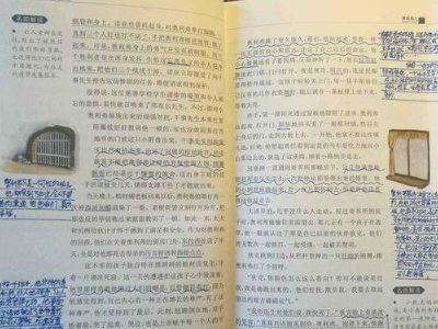 背课文的失望：记忆的背叛