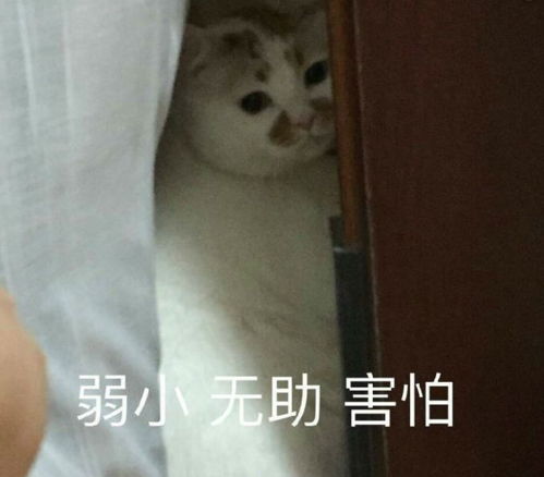 二、 星座噪音：天蝎座的尾巴摇晃，金牛座的蹄子敲响警钟