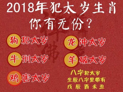 四、 本命年各生肖专属指南（混乱版）