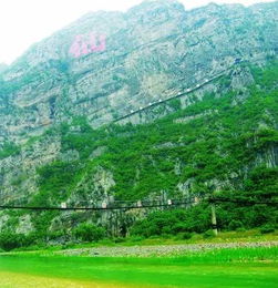 白洋淀：被遗忘的桃花源