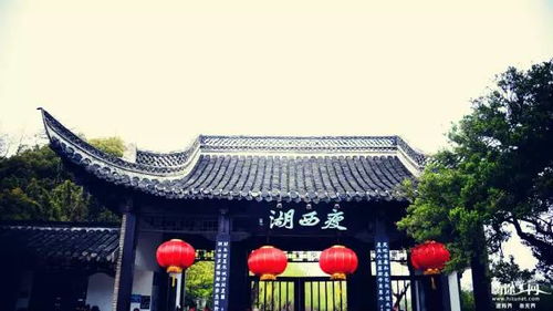 趣园茶社它到底在哪里啊