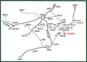沈阳道的魔幻现实主义：当核桃会说话