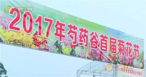 真实评价？都是刷的！