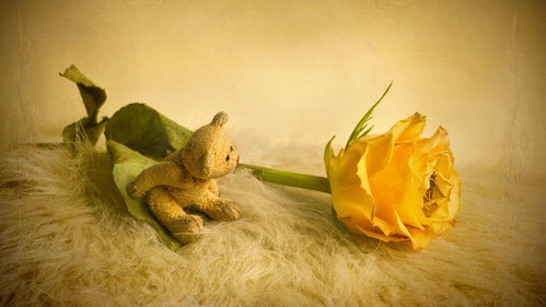 给所有星座情侣的忠告