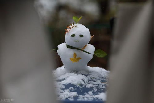 雪人的归来
