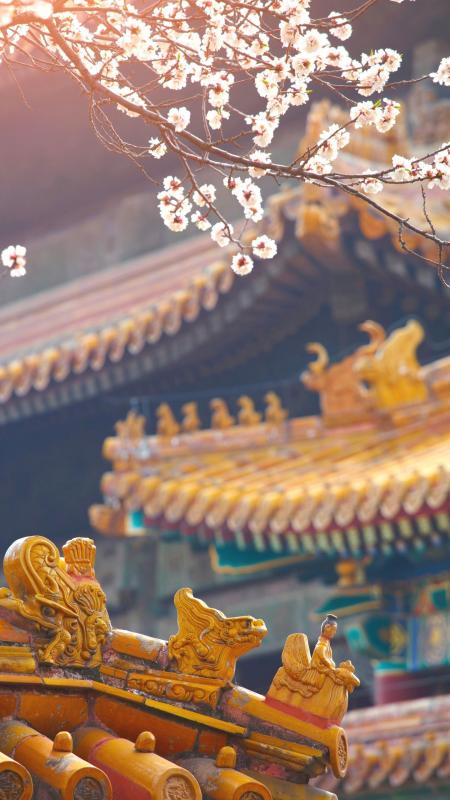 药王山摸寿桃：祈福与摔跤