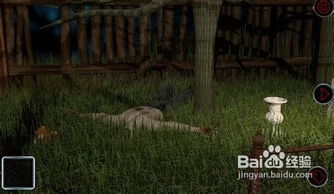 神秘森林：在森林里迷路是什么体验？