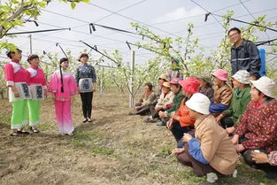 门票价格：看老板心情定价的玄学