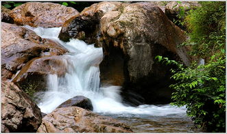 山涧水好不好,山涧水百科