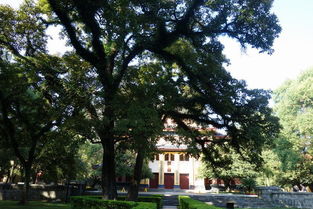 现在购买划算吗？大数据杀熟了解一下？