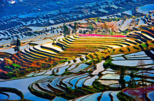 元阳哈尼梯田：层层叠叠，  诗意盎然