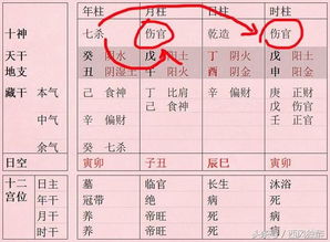 了解八字揭开八字基础之谜,八字基础知识入门基础知识下