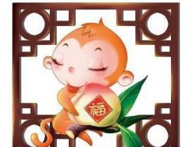 ——猴子与名字的缘分