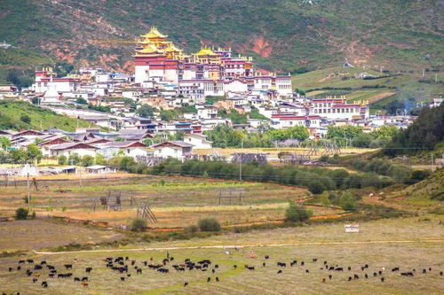 理塘草原,香格里拉镇,塔公草原,兔儿山,墨石公园,康定古城,海子山风景区,四姑娘山,映秀景区,稻城亚丁供应商:蕞美四川团期:11月30日,12月1日,12月2日,12月3日,12月4日,12月5日,12月6日,12月7日,12月8日,12月9日,12月10日,12月11日....精品2-8人小团丹巴稻亚6日游稻城亚丁+理塘千户藏寨+甲居藏寨.
