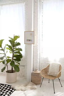 震惊！2026年这些风水禁忌会让你家破人亡