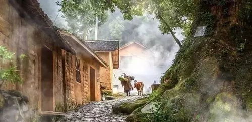 隐藏秘境：那一些没有游客足迹的较小道