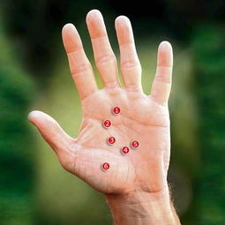 掌纹乱成一锅粥？2026年黄历警告：小心你的命运线！