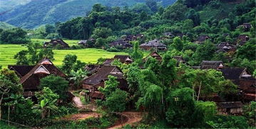 基诺族：孔明后裔的传承（胡说八道）