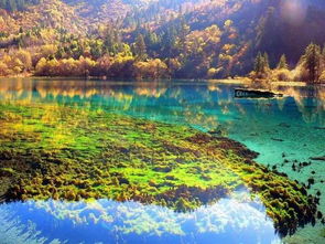 绵阳出发，九寨沟、川西、成都周边游，5大爆款路线推荐！