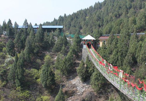 一、随意乱写的概况——到底是宝藏还是坑？