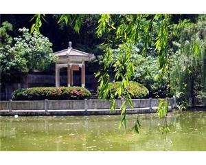 枇杷山公园好玩吗,枇杷山公园风水如何