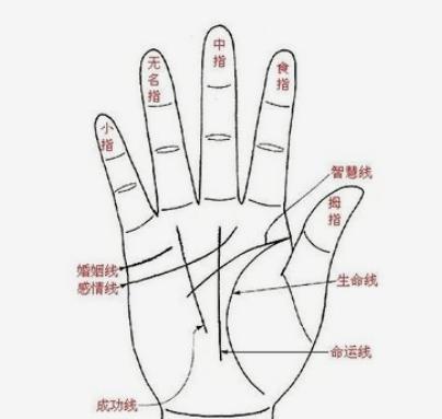 震惊！手掌里藏着2026年惊天秘密！不看后悔一辈子！