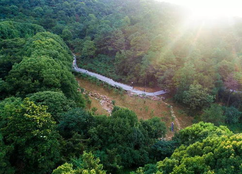 虞山生态步道：一路上的惊喜