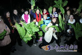 乌饭节：千年传承，神秘乌饭，节日风俗揭秘！