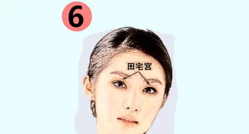 太阳穴：大脑的守护者