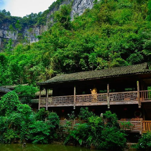 重庆酉阳旅游攻略里有哪些景点推荐？这绝对是你没见过的绝美秘境！