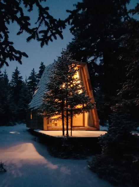 森林的传说：都是瞎编