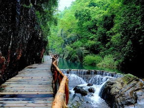 交通运输指南：轻巧松抵达白水寨风景区入口