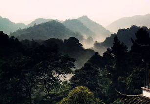D3 – 青城山 & 者阝江堰（自然灾难）