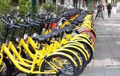 共享单车：厦门的共享单车也很方便， 适合较短距离出行比如从地铁站到酒店，或是逛景点。
