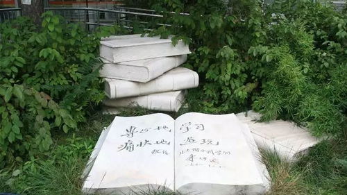 禅修较小镇的竹雕匠人：寻找那份宁静中的艺术创作