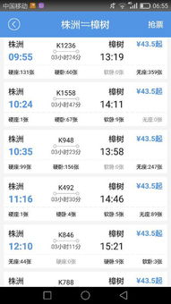 中山→株洲火车票大作战：一场让钱包和心灵双重崩溃的奇幻漂流