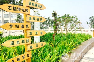 九、 营销策略（拼凑式）