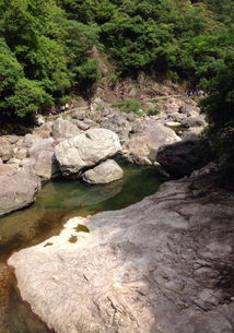 省钱攻略？看我教你玩转景区！