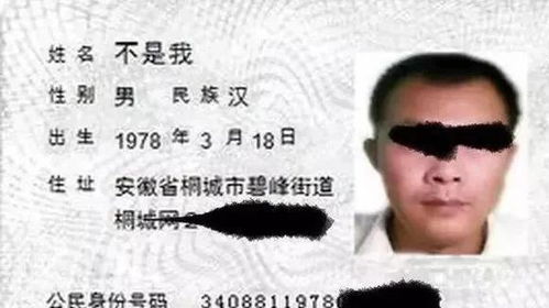 5. 八字、 诞生时间段、命理——别当真实这一些都是噪音填充剂！