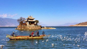 从“镇海巨大印”到“风浪观测点”：当地人不说的细小暗地