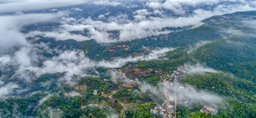 哎呀我去！景迈山这破地方居然还有人抢着去？