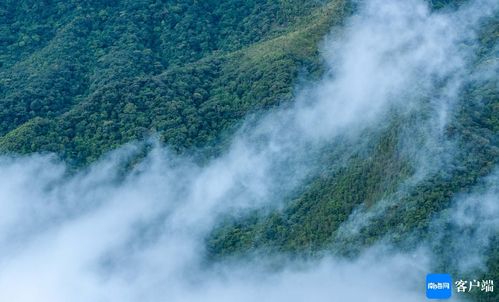 1.1 雾气与云雾交叉口（请自行想象）